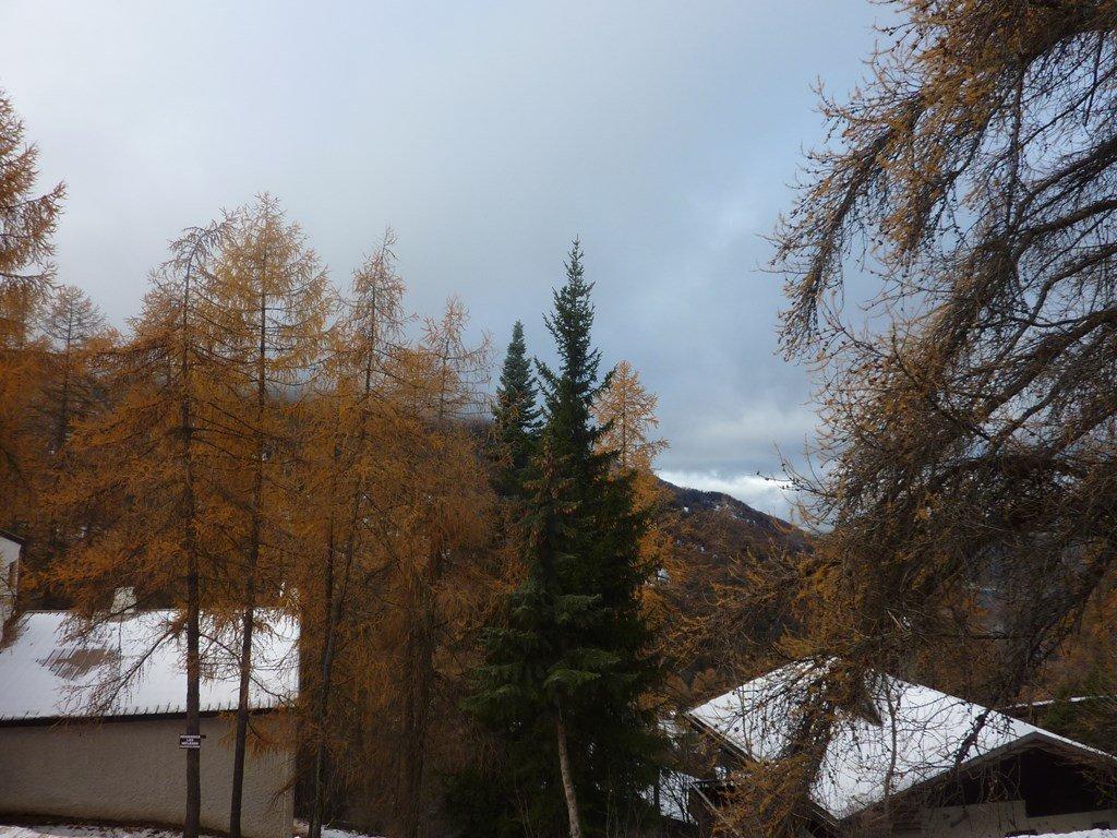 Studio coin montagne 4 personnes (252)