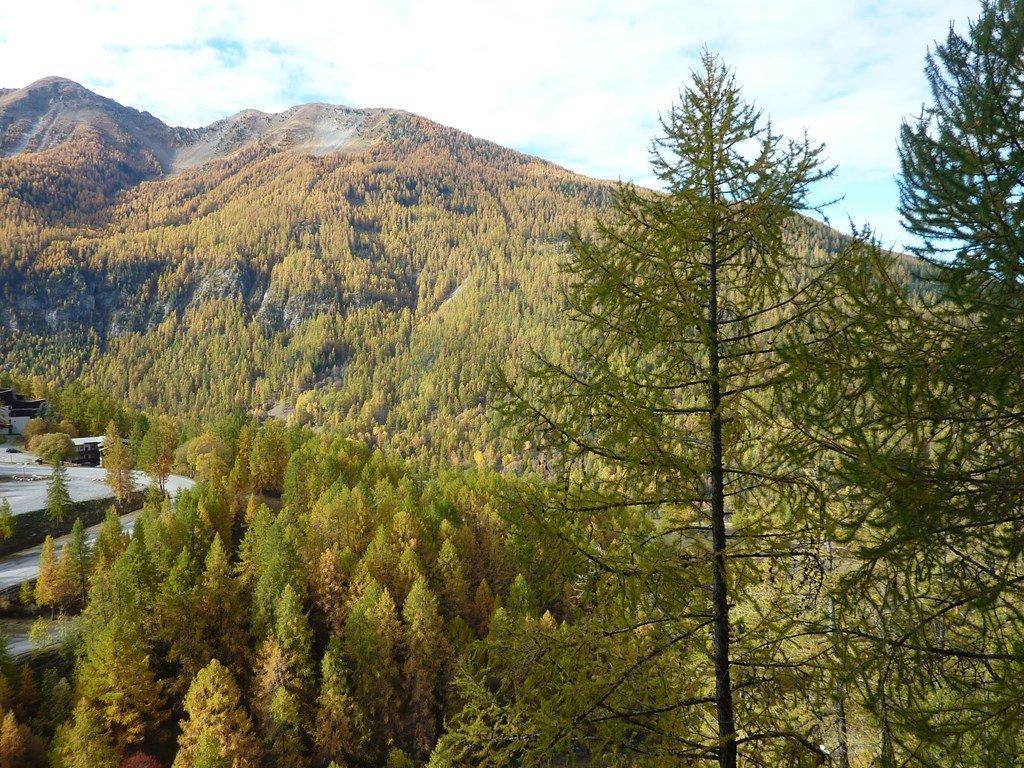 Appartement 2 pièces 6 personnes (290)