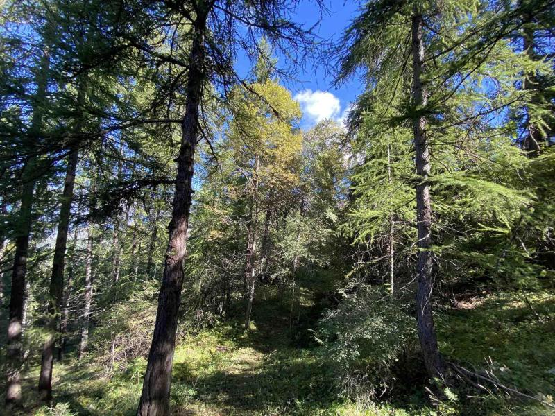 Alquiler al esquí Estudio para 4 personas (ROC3) - La Roche Blanche - Les Orres - Balcón