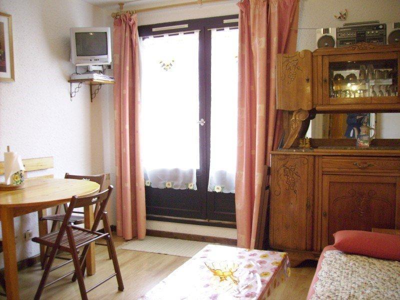 Rent in ski resort Studio sleeping corner 4 people (208) - Orrianes des Cimes - Les Orres - Apartment