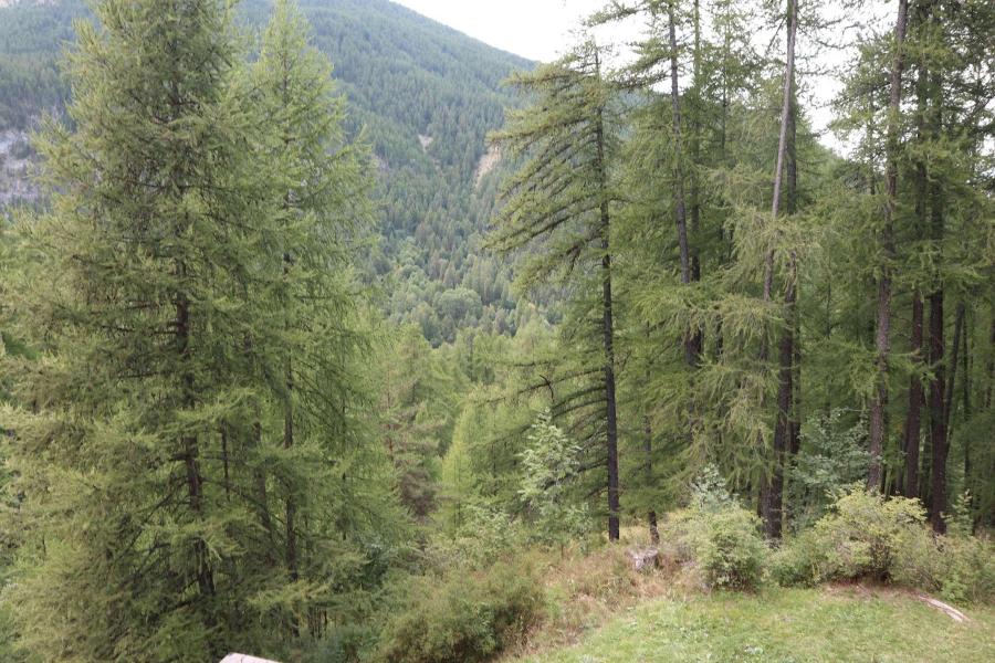 Soggiorno sugli sci Studio con alcova per 6 persone (105) - Résidence les Flocons - Les Orres