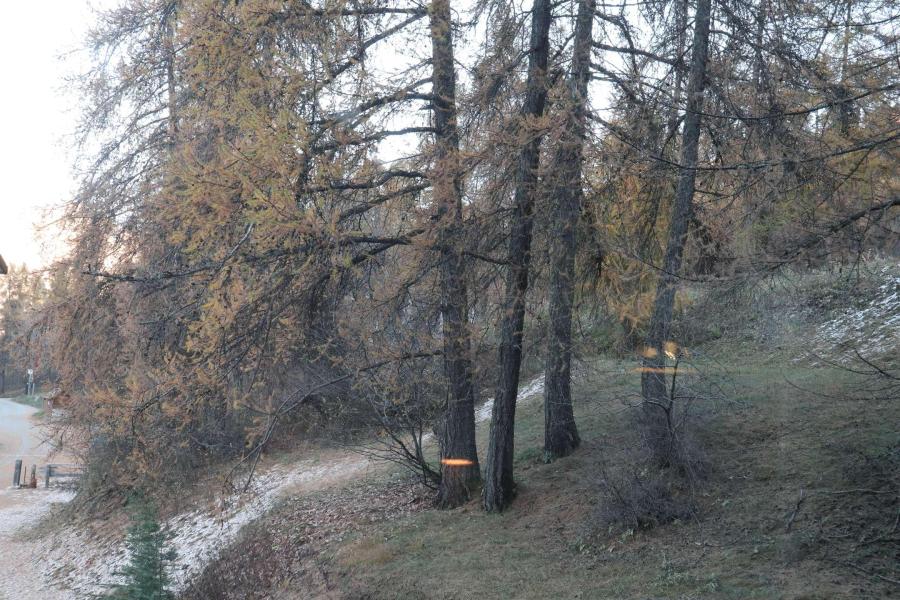 Location au ski Studio 2-4 personnes (466) - Résidence les Flocons - Les Orres - Extérieur hiver