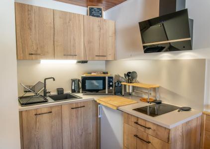 Location au ski Studio coin montagne 4 personnes (306) - Les Cembros - Les Orres - Cuisine