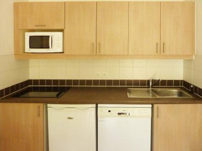 Wynajem na narty Apartament 2 pokojowy 4 osób (500) - Résidence Balcon des Airelles - Les Orres - Aneks kuchenny