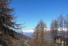 Rent in ski resort Studio 4 people (392) - Résidence le Pouzenc - Les Orres - Winter outside