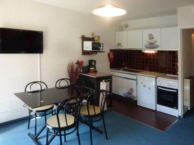 Rent in ski resort Studio sleeping corner 4 people (401) - Résidence les Ecrins - Les Orres - Kitchenette