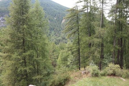 Soggiorno sugli sci Studio con alcova per 6 persone (105) - Résidence les Flocons - Les Orres