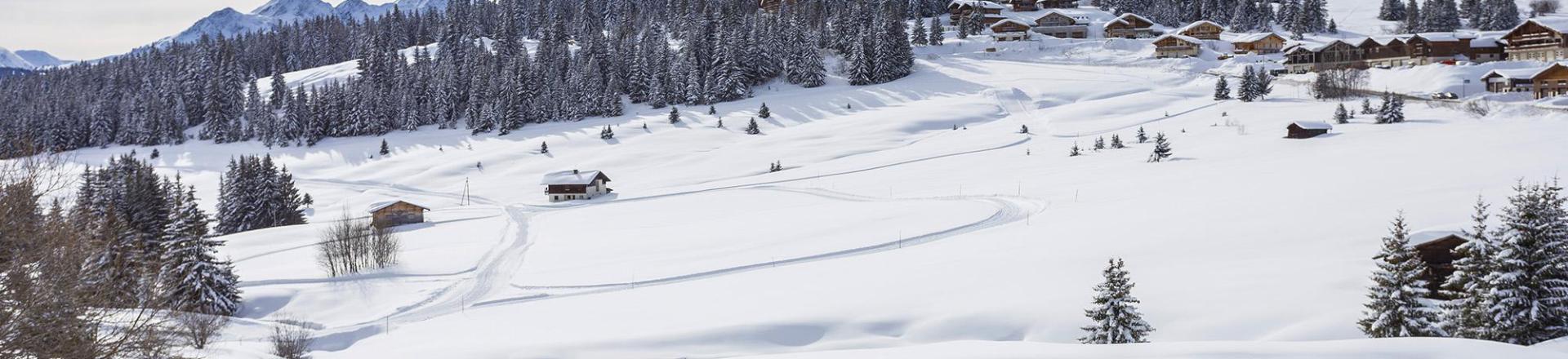Alquiler al esquí Résidence Club MMV Les Chalets des Cîmes - Les Saisies - Invierno
