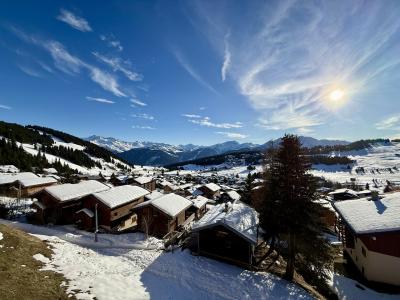 Wynajem na narty Apartament 3 pokojowy z antresolą 5 os&oacute;b (20) - Résidence Lezette 1 - Les Saisies - Zima na zewnątrz