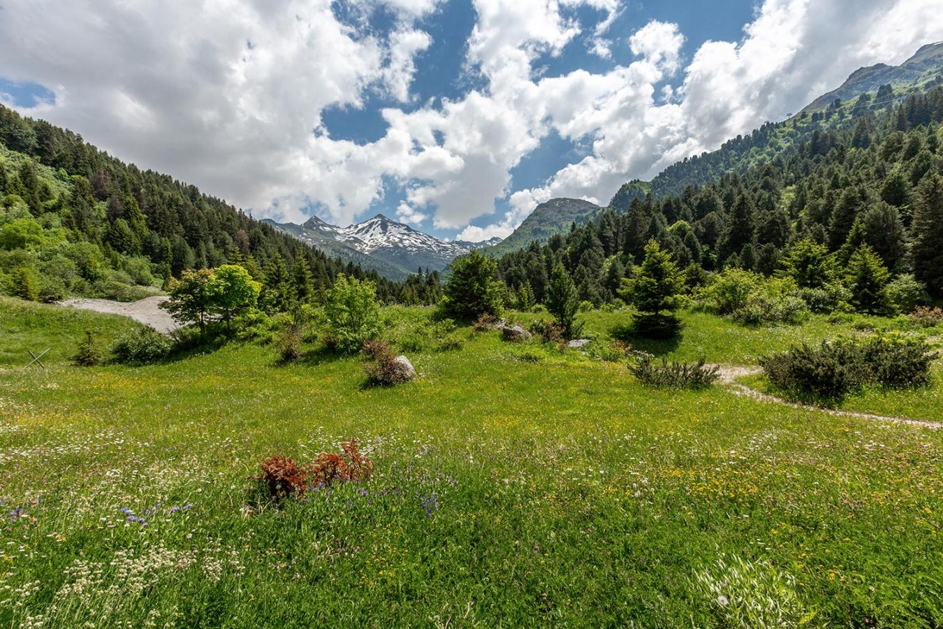 Appartement 3 pièces 6 personnes (004)