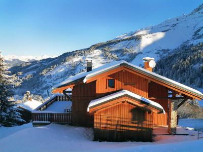 Location au ski Chalet  l'Arclusaz - Méribel-Mottaret - Extérieur hiver