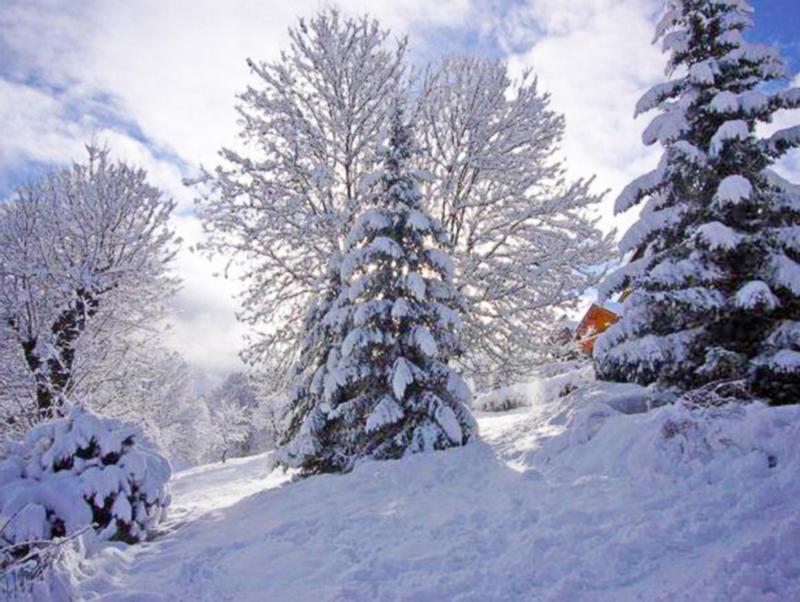 Vacanze in montagna Chalet Raffort - Méribel - Esteriore inverno