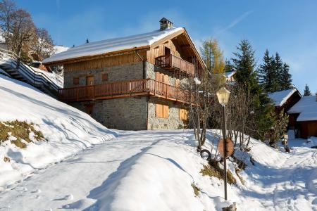 Rent in ski resort 10 room triplex chalet 12 people - Chalet le Grillon - Méribel - Winter outside