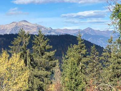 Ski verhuur Appartement 4 kamers 6 personen (MR2) - Le Plantin - Méribel - Appartementen