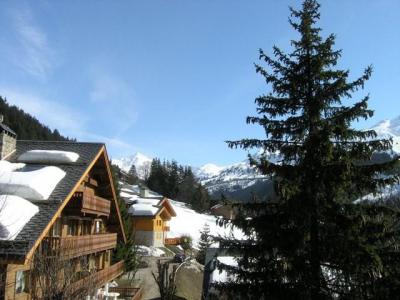 Location au ski Appartement 3 pièces 5 personnes (17) - Résidence l'Edelweiss - Méribel - Extérieur hiver