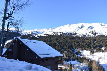 Location au ski Studio 4 personnes (23) - Résidence le Plan du Moulin - Méribel
