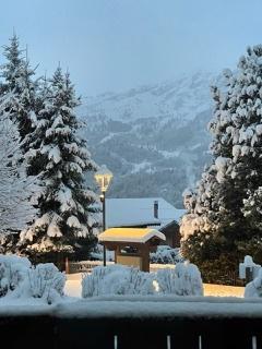 Ski verhuur Appartement 3 kamers 4 personen (3) - Résidence Les Fermes de Méribel E - Méribel - Buiten winter