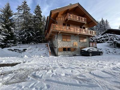 Location au ski Résidence les Perdrix - Méribel - Intérieur