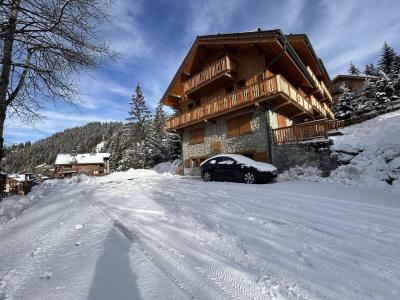 Location au ski Résidence les Perdrix - Méribel - Extérieur hiver
