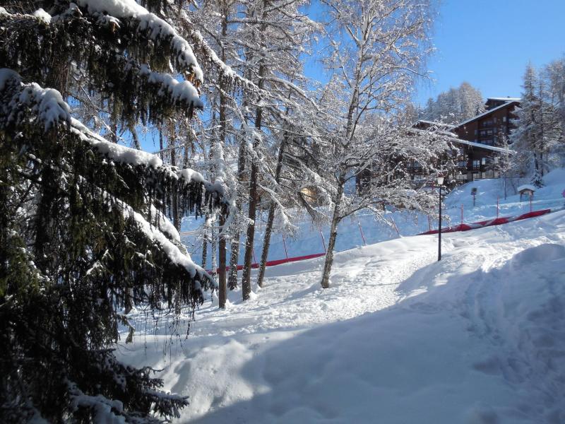 Location au ski Studio 4 personnes (027) - La Résidence les Pentes - Montchavin La Plagne - Balcon