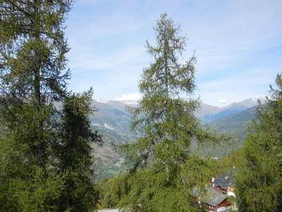 Rent in ski resort Studio 4 people (016) - La Résidence la Lanterne - Montchavin La Plagne - Balcony