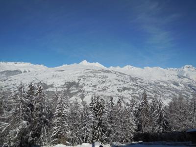 Location au ski Studio 4 personnes (060) - Résidence la Traverse - Montchavin La Plagne
