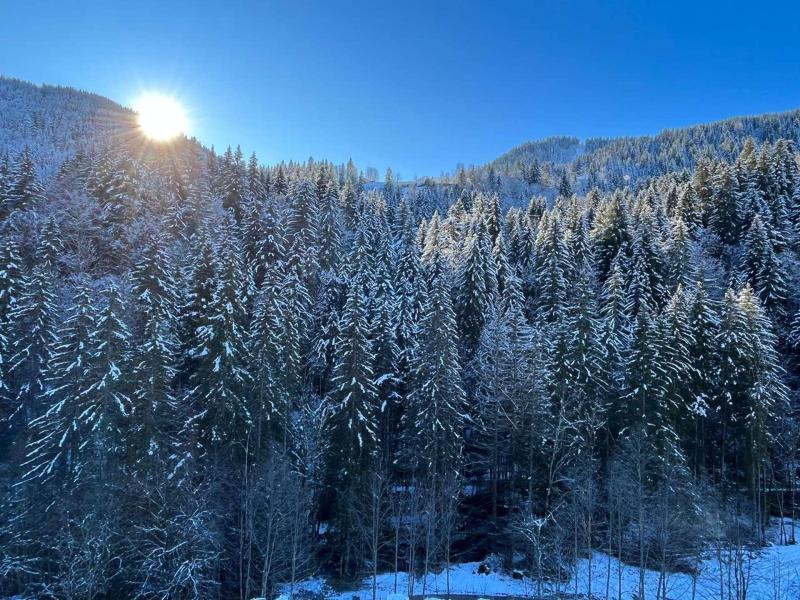 Rent in ski resort 5 room duplex chalet 8 people - Chalet Bartlett - Morzine - Winter outside