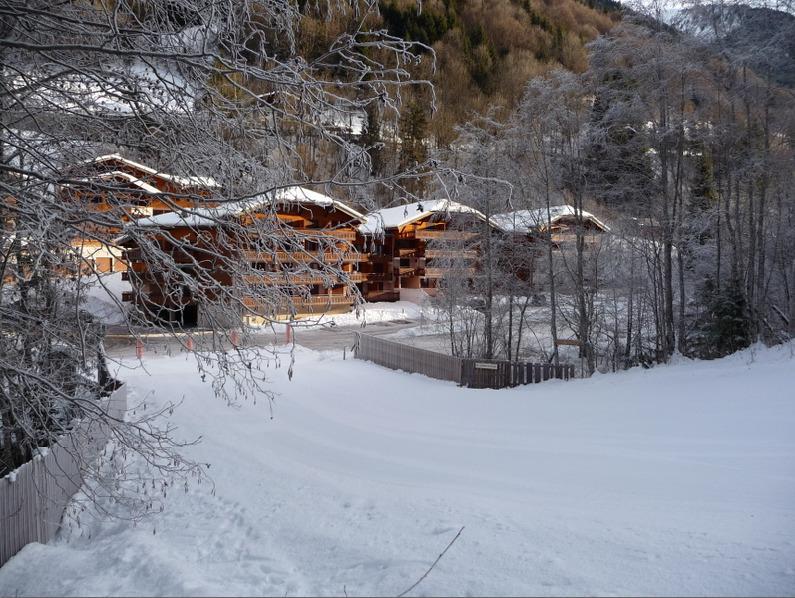 Rent in ski resort Résidence le Vieux Moulin - Morzine - Winter outside