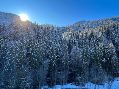 Week end ski Chalet Bartlett