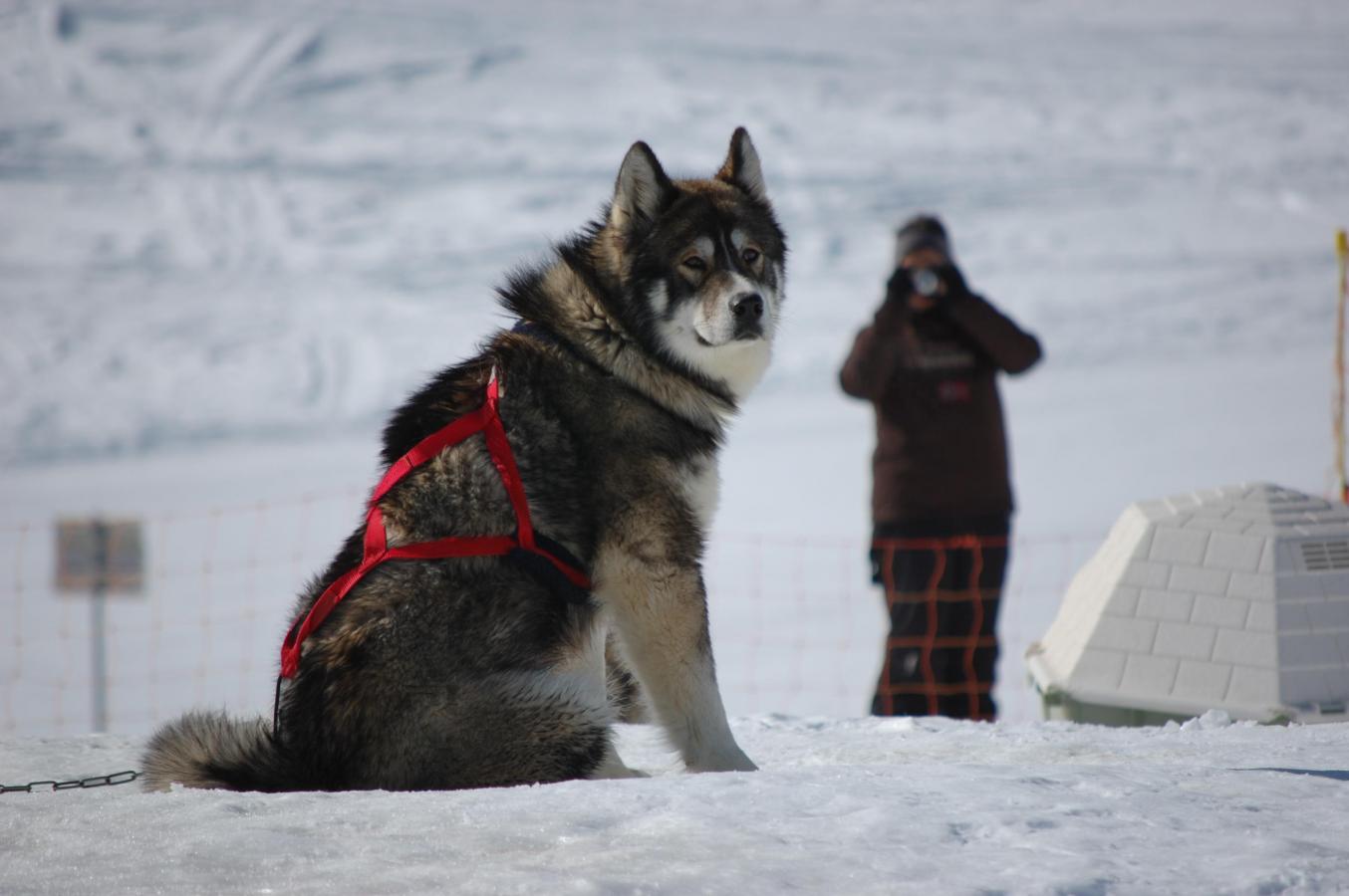 Appartement 3 pièces 6 personnes