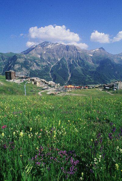 Location au ski Studio coin montagne 4 personnes (55B) - Résidence le Rond Point des Pistes II - Orcières Merlette 1850