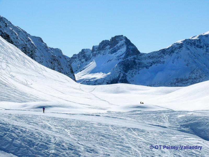 Location au ski Chalet d'Alfred - Peisey-Vallandry - Extérieur hiver