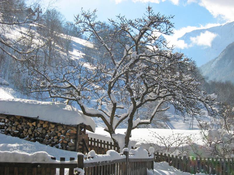 Urlaub in den Bergen Chalet de Claude - Peisey-Vallandry - Draußen im Winter