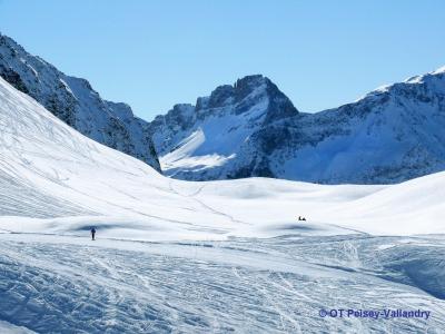Vacances en montagne Chalet d'Alfred - Peisey-Vallandry - Extérieur hiver