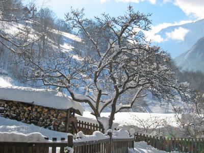 Vacances en montagne Chalet de Claude - Peisey-Vallandry - Extérieur hiver