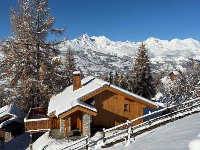 Wynajem na narty Domek górski duplex 4 pokojowy dla 6 osób (27) - Chalet de Vallandry - Peisey-Vallandry - Zima na zewnątrz