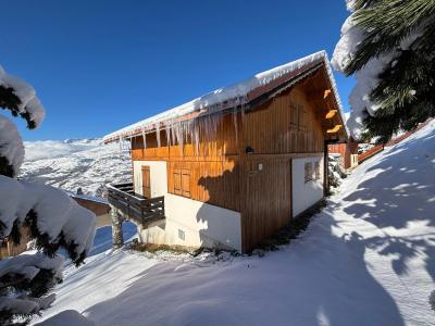 Skiverleih 6 Zimmer Chalet für 10 Personen - Chalet Forsythia - Peisey-Vallandry - Draußen im Winter