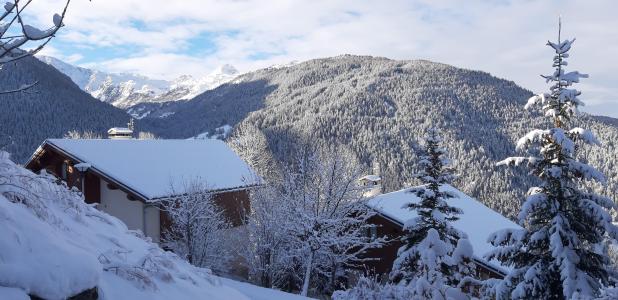 Accommodation Les Chalets des Deux Domaines