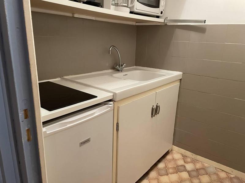 Location au ski Studio 4 personnes (110) - Résidence Dauphinelles 1 - Pelvoux - Kitchenette