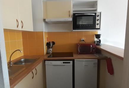 Wynajem na narty Apartament duplex 3 pokojowy z alkową dla 8 osób (A15) - Les Hauts de Peyragudes - Peyragudes - Kuchnia