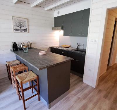 Аренда на лыжном курорте Апартаменты дуплекс 3 комнат 6 чел. (16) - LES CARLINES - Pra Loup - Кухня