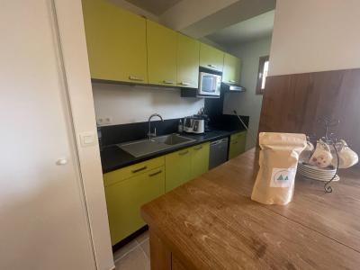 Location au ski Appartement 3 pièces coin montagne 6 personnes (101) - Résidence l'Olympic - Pra Loup - Cuisine