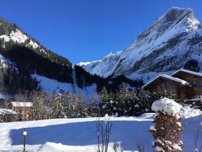 Vacances en montagne Appartement 3 pièces 4 personnes - Chalet le Flocon - Pralognan-la-Vanoise - Extérieur hiver