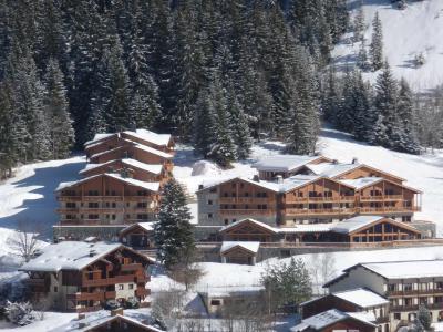 Rent in ski resort Hauts de la Vanoise - Pralognan-la-Vanoise - Winter outside
