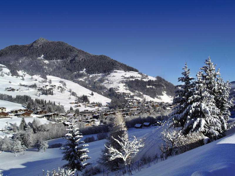 Urlaub in den Bergen Hôtel Belambra Club l'Alisier - Praz sur Arly - Draußen im Winter