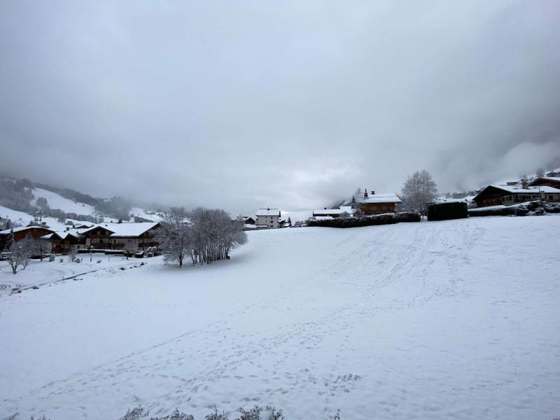 Skiverleih 3-Zimmer-Appartment für 6 Personen (222) - Résidence les Alpages - Praz sur Arly - Balkon