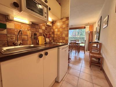 Soggiorno sugli sci Studio per 4 persone (B02) - HAUTS DE PRAZ - Praz sur Arly - Cucinino