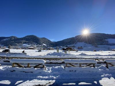 Rent in ski resort Studio sleeping corner 4 people (02E) - Résidence l'Orée des Pistes - Praz sur Arly - Winter outside