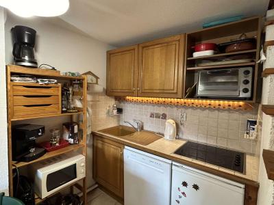 Wynajem na narty Apartament 2 pokojowy z antresolą 6 osób (320) - Résidence le Chamois d'Or - Praz sur Arly - Aneks kuchenny