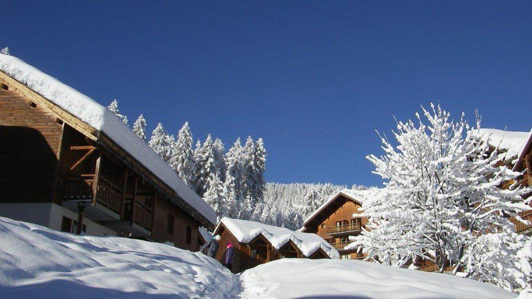 Vacances en montagne Résidence Parc aux Etoiles - Puy-Saint-Vincent - Extérieur hiver